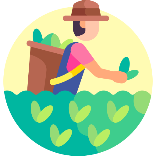 AGRICULTURE & HARVESTING